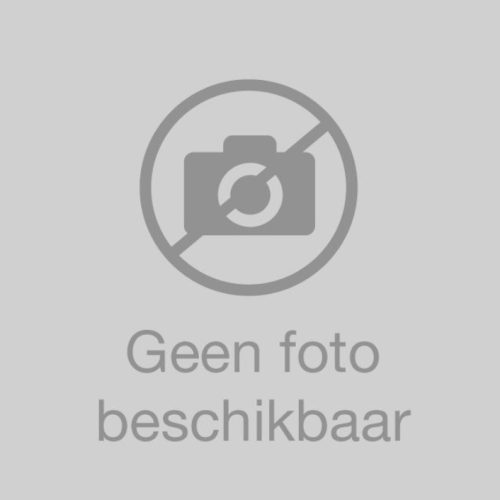 Cookies ijstaart 8 personen